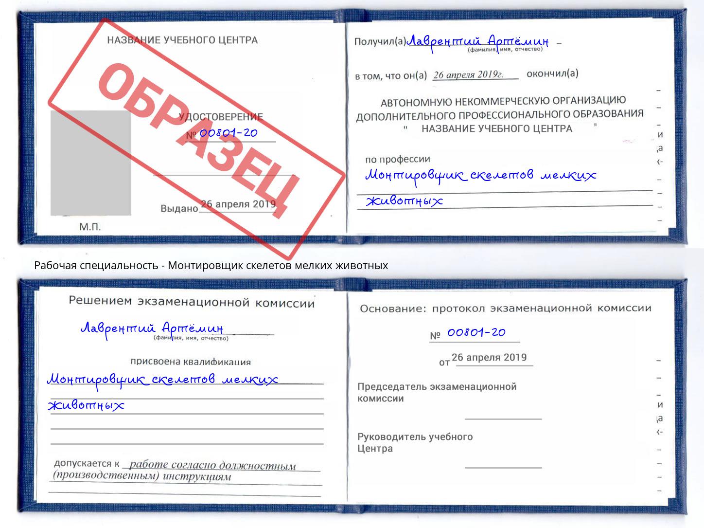 Монтировщик скелетов мелких животных Георгиевск