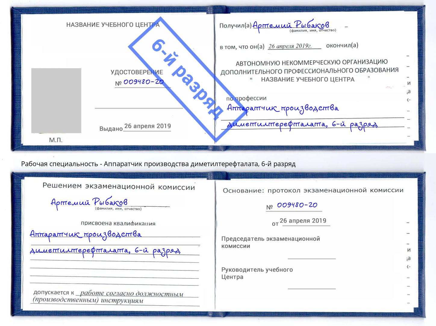 корочка 6-й разряд Аппаратчик производства диметилтерефталата Георгиевск