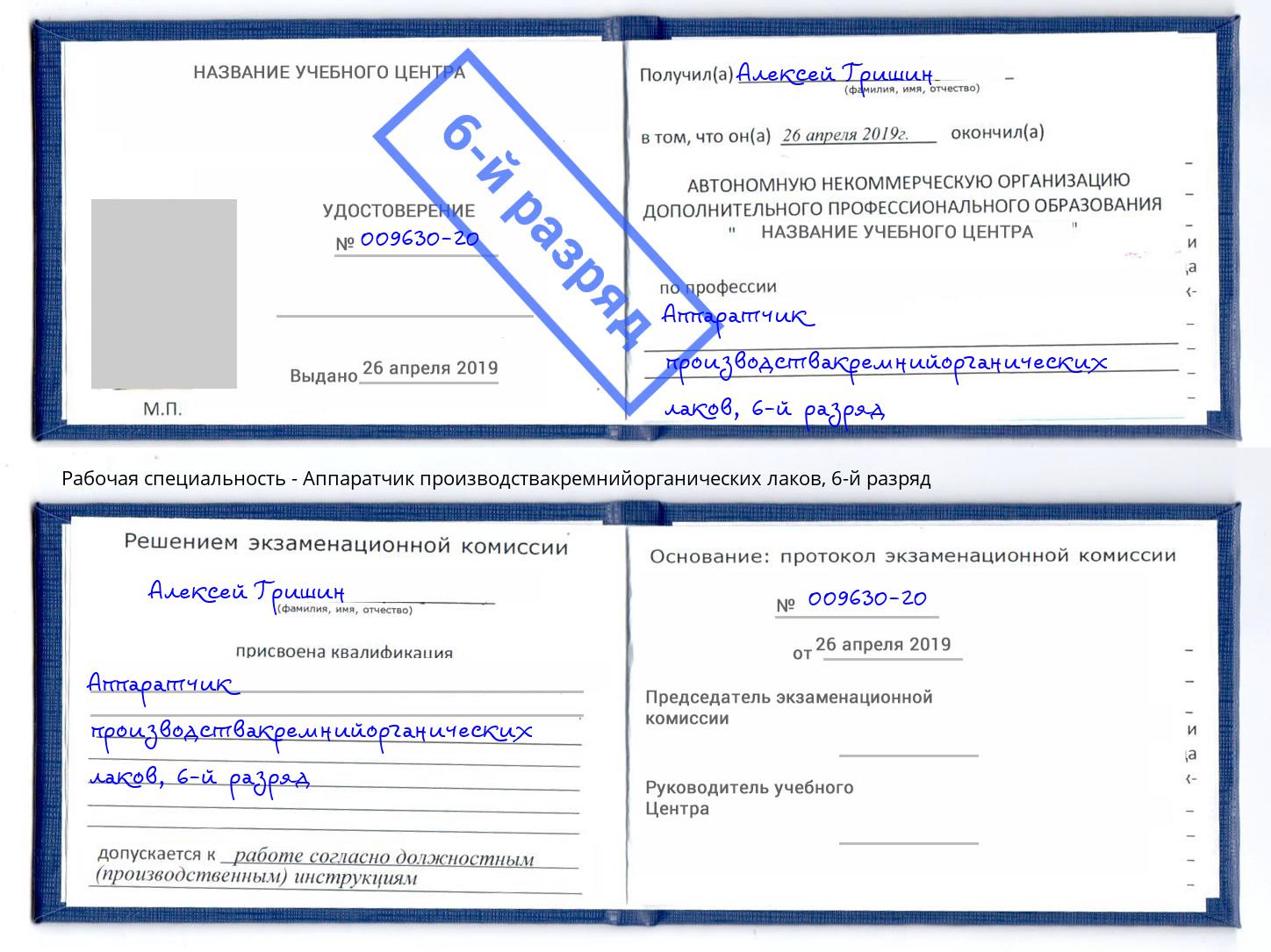 корочка 6-й разряд Аппаратчик производствакремнийорганических лаков Георгиевск