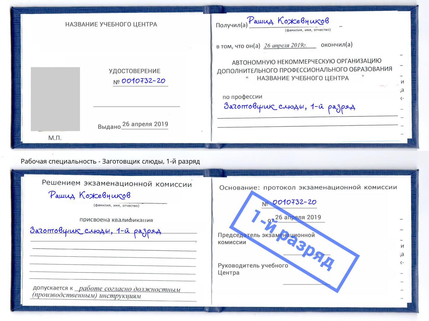 корочка 1-й разряд Заготовщик слюды Георгиевск